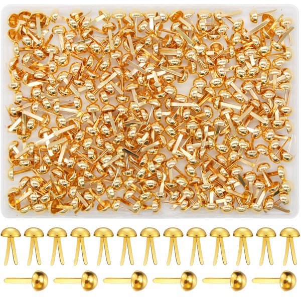 EuTengHao 300Pcs Brass Fasteners Scrapbooking Brads Round Head Brass Plated