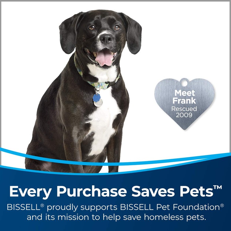 Bissell PowerFresh Pet Steam Mop, 19404, Purple