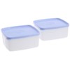 Tupperware Small Cool N Fresh Set, 450ml, Set of 2
