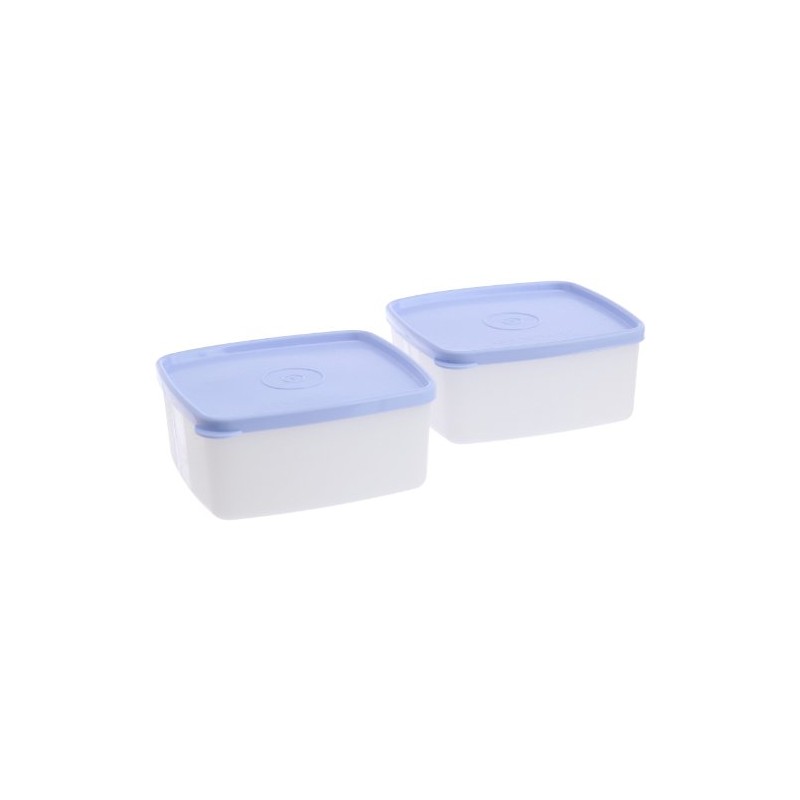 Tupperware Small Cool N Fresh Set, 450ml, Set of 2