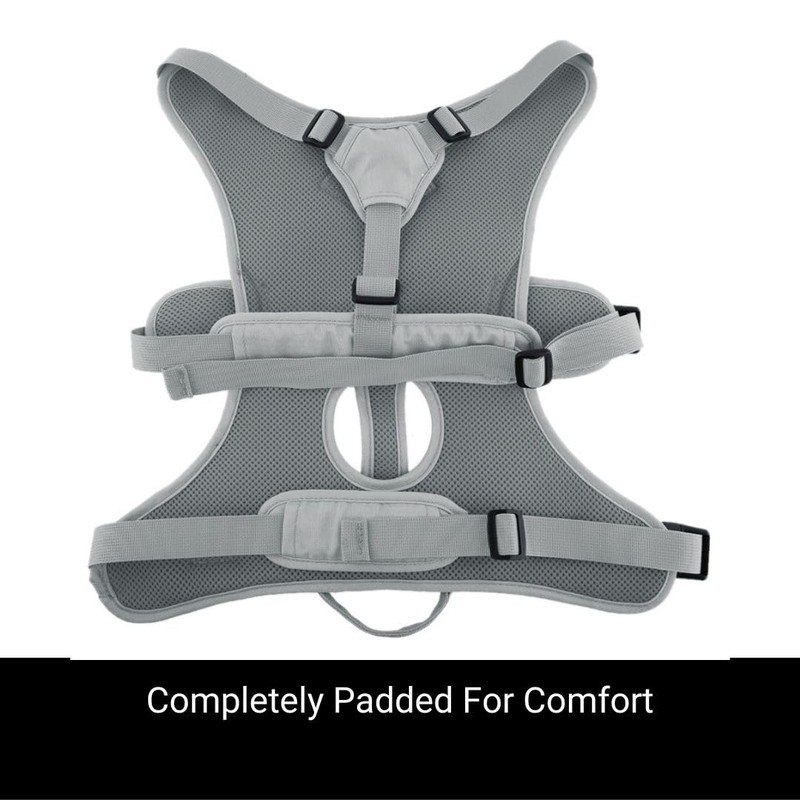Snootiful Hound Sighthound Harness for Greyhounds, Whippets and Lurchers -