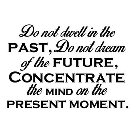 Do not Dwell in The Past do not Dream of The Future 23 X 16 Vinyl Wall Quote Decal Sticker Team Buddha Quote Sticker Art Decor Motivational Inspirational Lettering