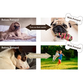 Pata pal Eco-Friendly Durable Squeaky Dog & Puppy Pet Plush Chew Toy Variety Pack for, Training, Teething and Exercise