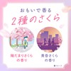 Warm Foaming Momi Sakura Carbonated Bath Solution, Cherry Blossom Scent,