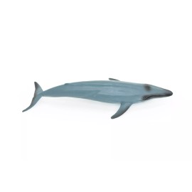 Guangzhou Blue Whale Toy, Realistic Rubber Model, Hand Painted Figurine   7"   CH156B249