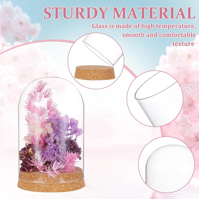 BENECREAT Glass Display Dome with Cork Base, 2 Sets, 11.8x8cm