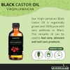 Aceite de Ricino Negro Jamaiquino GreenIVe Jamaican Black Castor Oil,