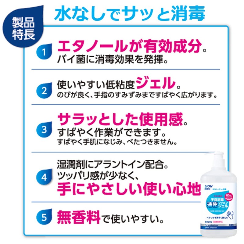 Lion Hand Disinfection, Quick Drying Gel, 3.4 fl oz (100