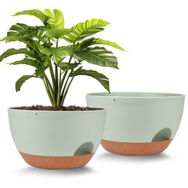 Plant Pots 12inch Self Watering Pots, Set of 2 Plastic Planters with Drainage Holes and Saucers, Flower Pots for Indoor Outdoor Plants (Green)