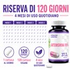 Hepatica Artemisinina | 250 mg | standardizzata al 98% |