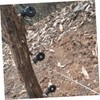 CAXUSD 50pcs Electric Fence Insulators Screw in Ring Insulator for