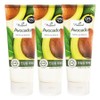 On the Body LG On The Body The Natural Cleansing Foam Gentle Avocado for Sensitive Skin 200g x 3 / 엘지 온더바디 더내추럴 클렌징 폼 민감성용 순한 아보카도 200g X 3개