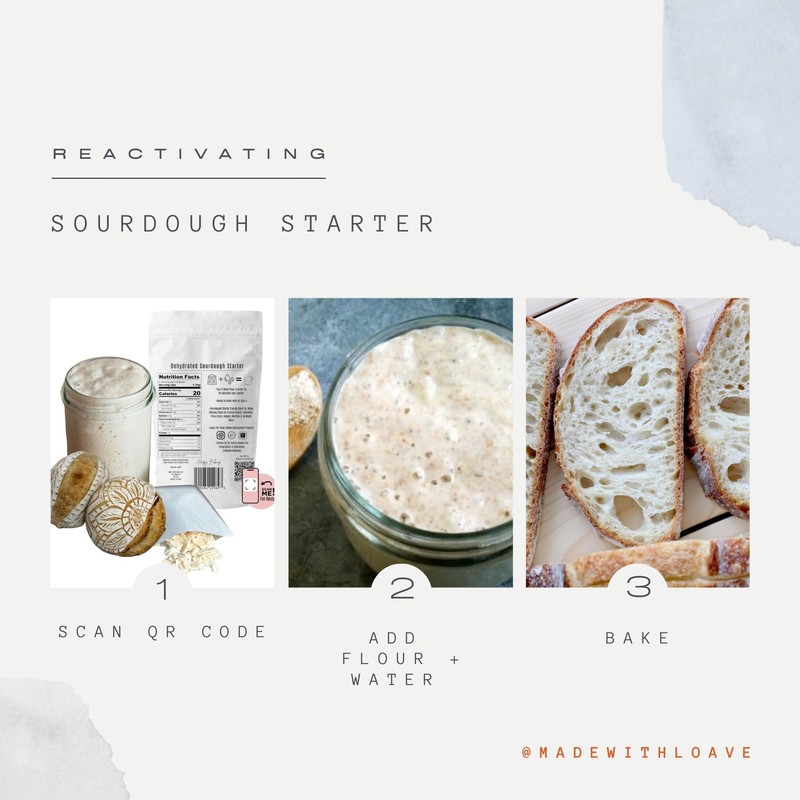 Dehydrated Sourdough Starter by Made With Loave | INCLUDES Recipe