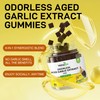 Velna zivs Aged Garlic Extract Gummies – Odorless, Soft Chew