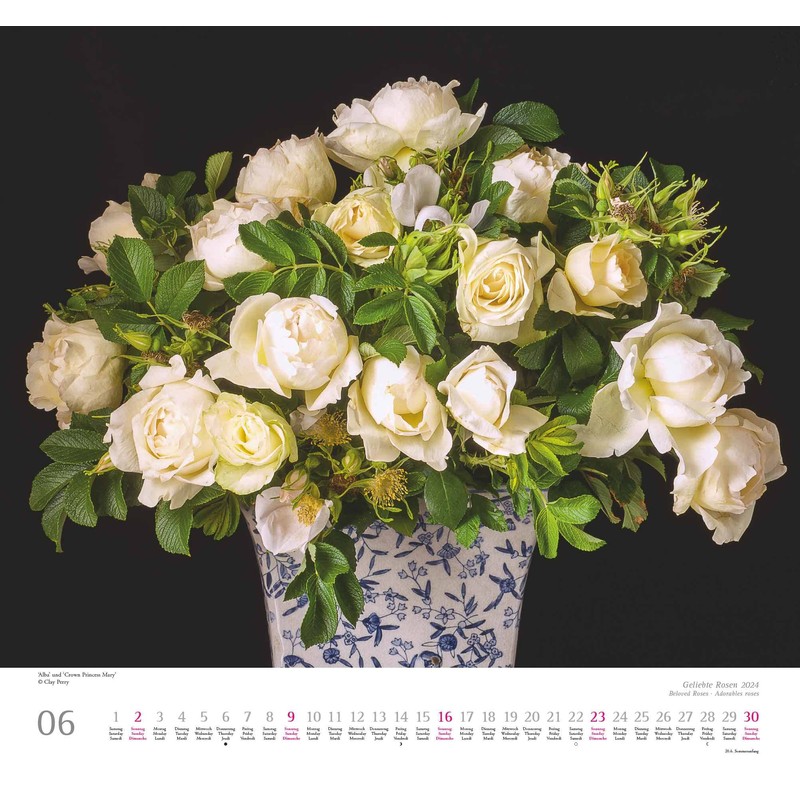 Kal. 2024 ...geliebte Rosen