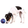 Trixie Dog Activity Plastic Snack Ball, 7 cm Diameter