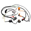 PRO BAT ATV Arnés de cableado eléctrico Go Kart 150