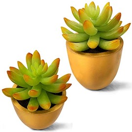 (2-Pack) Artificial Succulents for Home Decor Indoor,Bookshelf Decor,Fake Succulents,Fake Plants for Office,High End Fashion Golden Flower Pot Faux Succulents