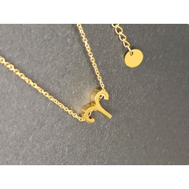 Halskette Sternzeichen Edelstahl Schöne Karte Bedeutung Sternzeichen Anhänger Horoskop Für Frauen oder Mann Geburtstagsgeschenk, Standard, Edelstahl, Nicht zutreffend