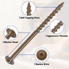#8 Pocket Hole Screws 1-1/4 Inch, 640Pcs Coarse Thread Wood