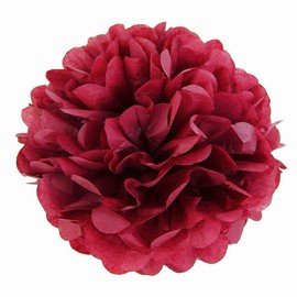 JZK® Paper Flower Balls Fan Lantern Honeycomb Decoration Wedding Baptism Birthday Party etc.