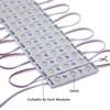 REXTiN Super Bright 100pcs 110V 2835 3 LED Module Storefront