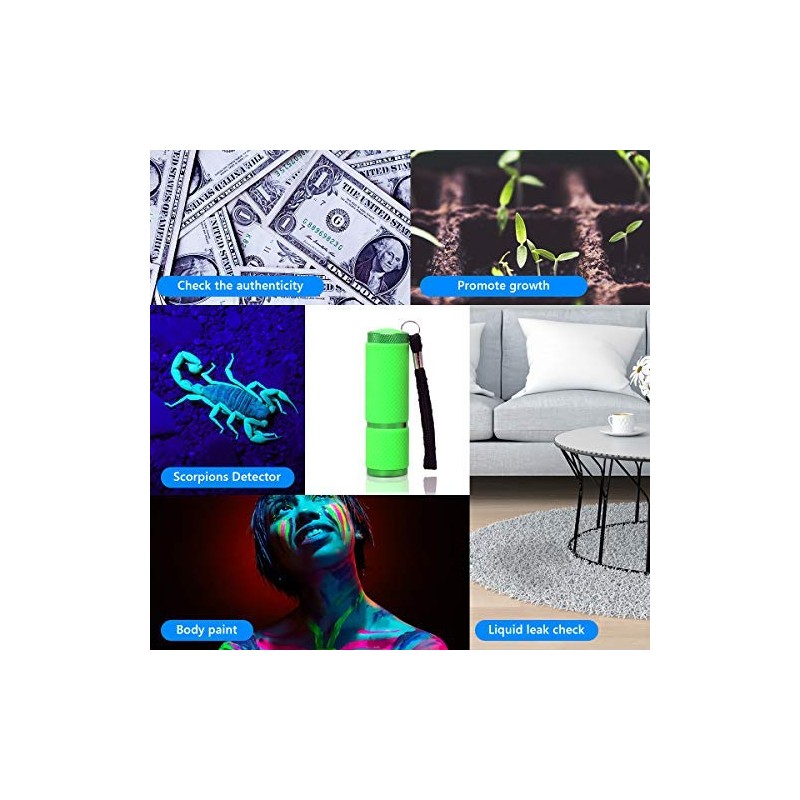 Coolrunner 3pcs LED Flashlight, Small Glow Flashlights with 9 LED