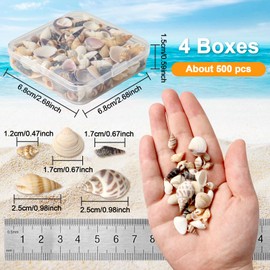 Ira Pollitt Tiny Natural Mixed Ocean Sea Shells Tiny Miniature Beach Critter Seashells Variety Beach Decor Crafts for Arts & Crafts Projects, Home Decoration,Fish Tank Vase Fille (4 Pack), 500pcs