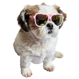 G045 - Disfraz de perro y gato, anteojos de sol turbo con correa ajustable para perros pequeños y medianos de aproximadamente 12-30 libras, accesorio para fiesta, cosplay, sesión de fotos UV400