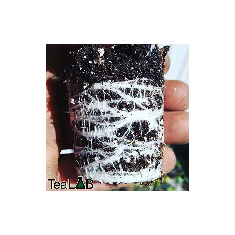 BioChar : PyroChar Pyrolysis Based Biochar: 1 Cubic Foot