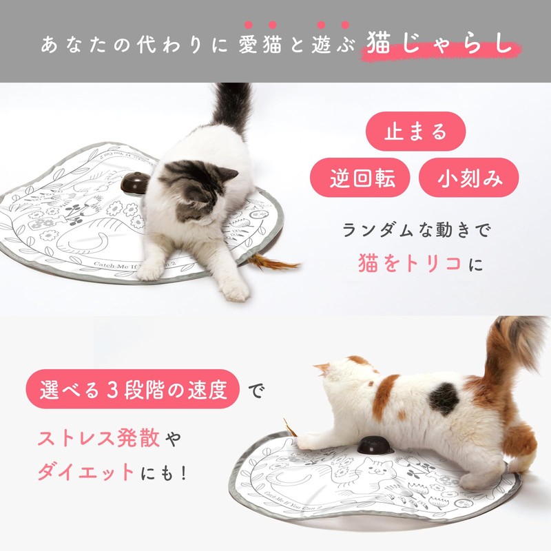 Necoichi Catch Me If You Can 2 Electric Toy for