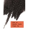 8 Packs Springy Afro Twist Hair 10 inch 4# Pre-Separated