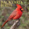 Willow Creek Press, Backyard Birds 2026 Wall Calendar, 12'' X