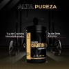 Creatina + Beta Alanine Dark Matter / 1kg / 125