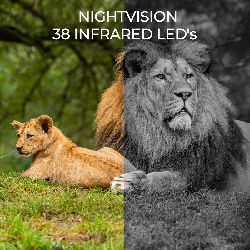 Denver WCL-8040 Wildlife Camera