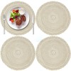 12 Inch Placemats,Round Braided Placemats Set of 4,Washable Heat Resistant