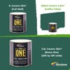 The ONE All-In-One Paint & Primer - Green Matte, 8.5