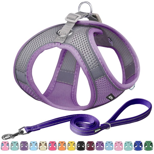 AIITLE Easy Walk Dog Harness and Lead Set - Pet