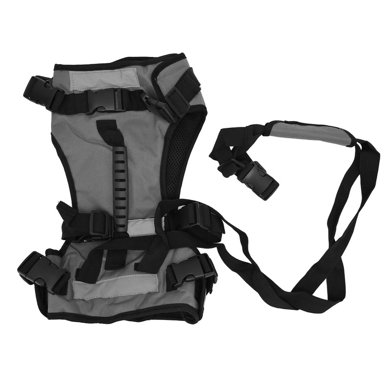 Cat Vest Harnesses Leash Adjustable Breathable Stylish Multifunctional Pet Walking