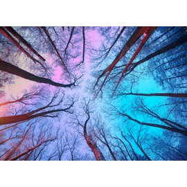 Puzzles 1000 Pieces for Adults jigsaw puzzles for adults 1000 Piece Puzzle Challenging Game for The Whole for Women, Gifts for Men, Theme:Tree at Night