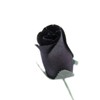 Black Closed Bud Roses 8-Pack