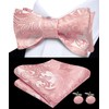 Dubulle Mens Self Tie Bow Ties and Lapel Pin Set