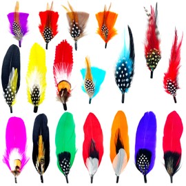 18 Pieces Hat Feathers Assorted Feathers for Fedora Hats Colorful Natural Real Feathers Packs Accessories for DIY Crafts Christmas Decorations Men Women Cowboy Pork Pie