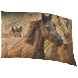 Pro-Graphx - Color Guard Practice Flags, Marching Band Flags, Curved Rectangle Indoor Competition, Performance ARC Flag, Vibrant Colors, Made in USA, Durable Polyester Silk PGF50- Horses