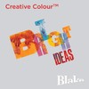 Blake Creative Colour C4 229 x 324 mm 120 gsm
