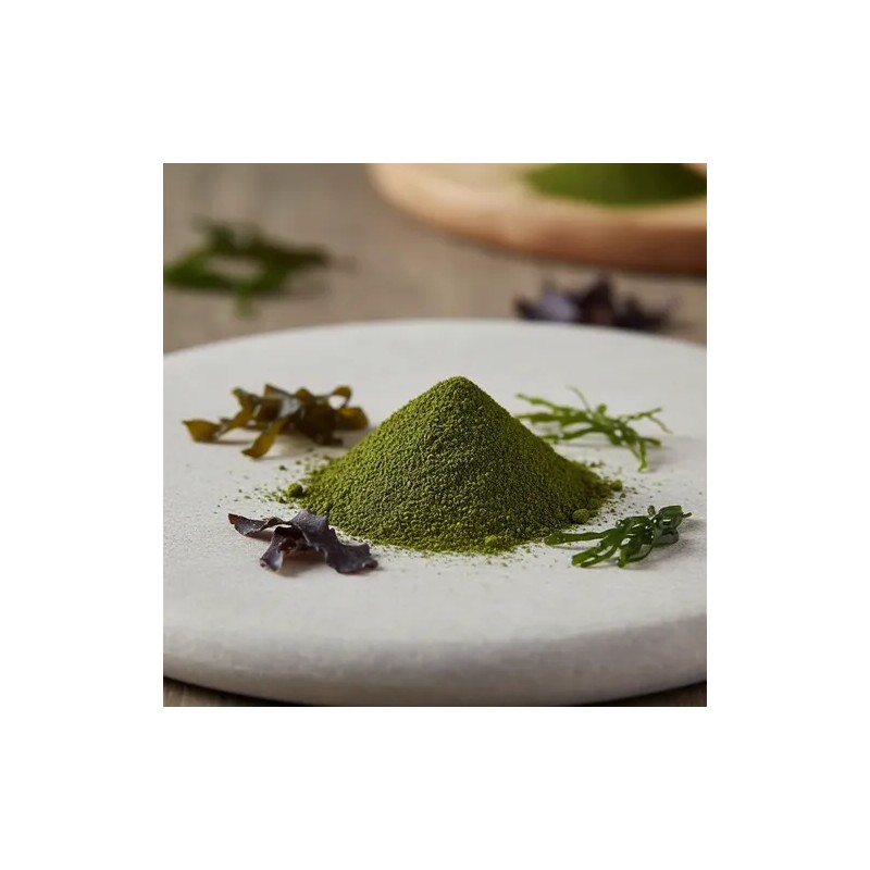 Polvo 5 Algas Premium Nutrigenoma Bienestar Interior Oferta