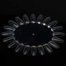 Nail Nara Color Wheel Color Wheel/Chart_Transparent (S2495869) / Color Wheel 칼라 휠/차트_투명 (S2495869)