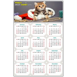 2025 Magnetic Calendar - Calendar Magnets - Today is my Lucky Day - (Fade, Tear, and Water Resistant) - Cat Themed 023 (5.25 x 8)