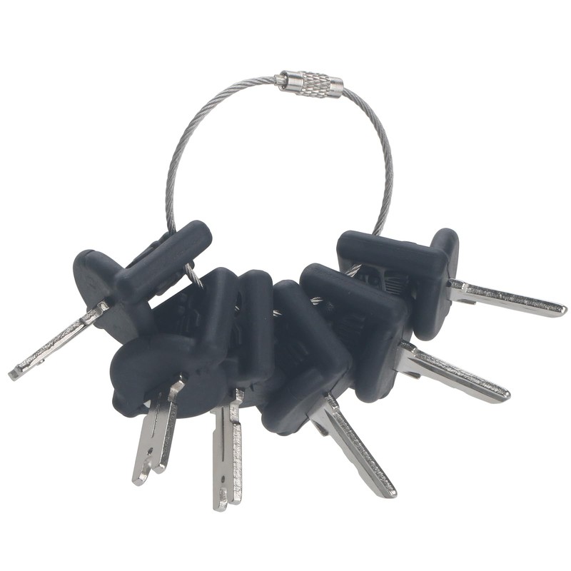 GAOHOU Pack of 6 Forklift Ignition Keys Crown Ignition Key