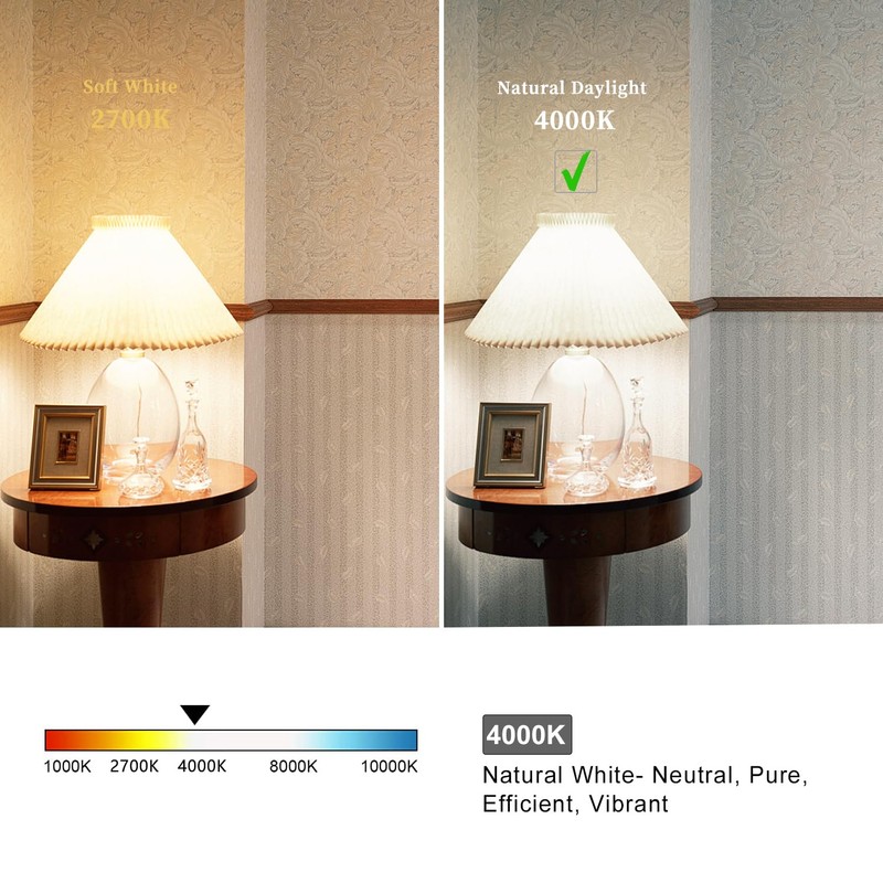 MYEMITTING 2 Pack Dimmable LED Globe Bulb, 5.5W Equivalent 60W,